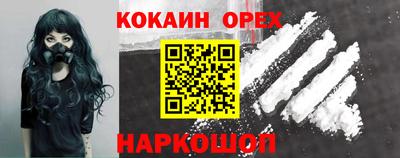 гидропоника Владимир