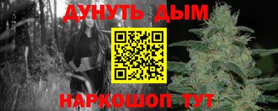 гидропоника Владимир