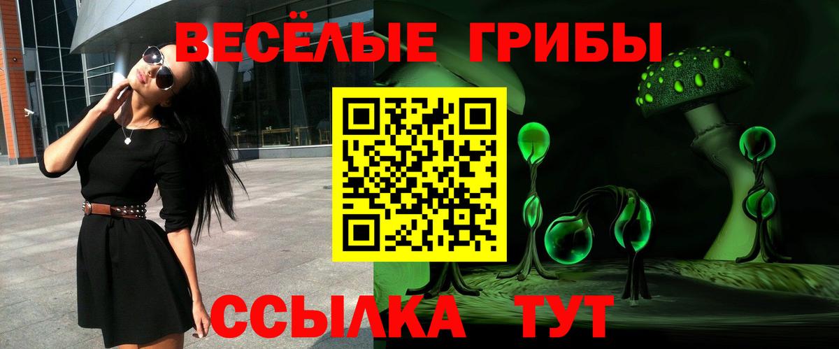 Псилоцибиновые грибы Psilocybine cubensis  Вход с VPN  Псилоцибиновые грибы Psilocybe  Сафоново 