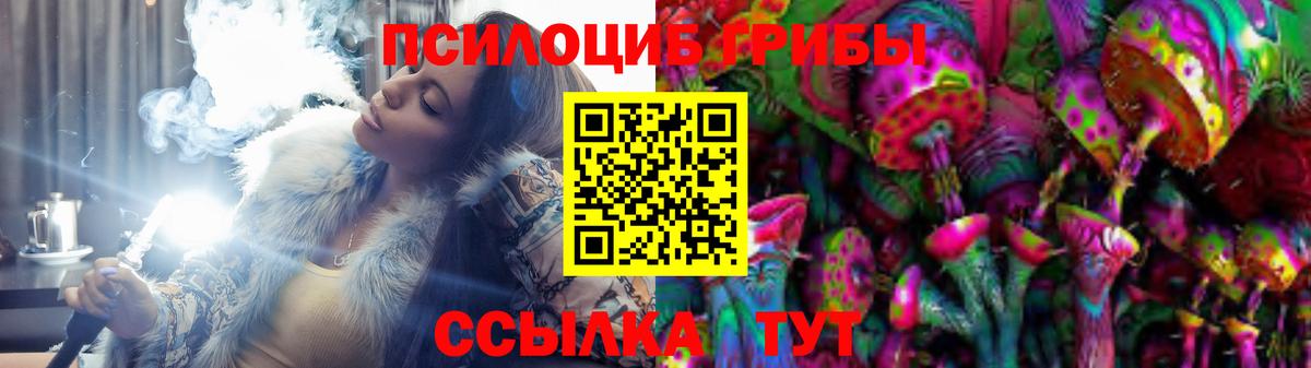 Галлюциногенные грибы Cubensis Сафоново